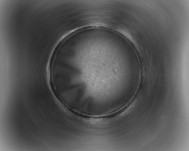 X0000088161032200705291907