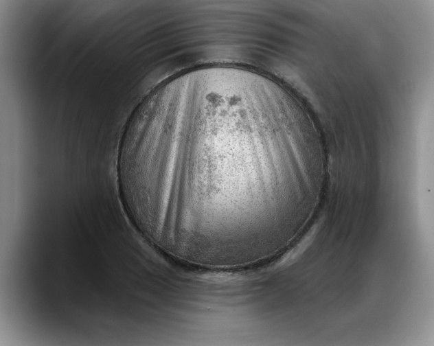 X0000088161033200705291907