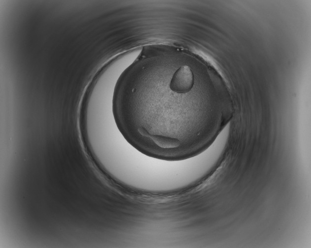 X0000088161034200705291907