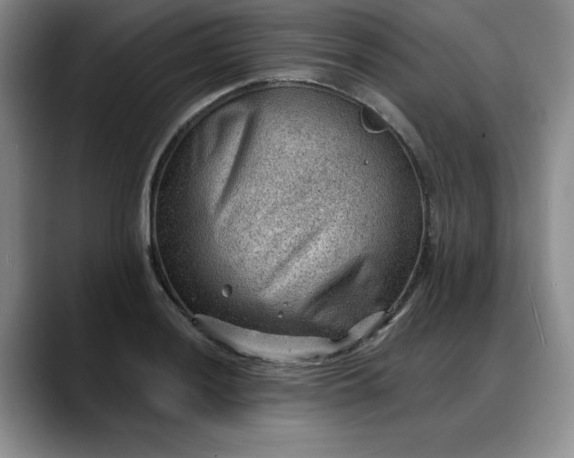 X0000088161036200705291907