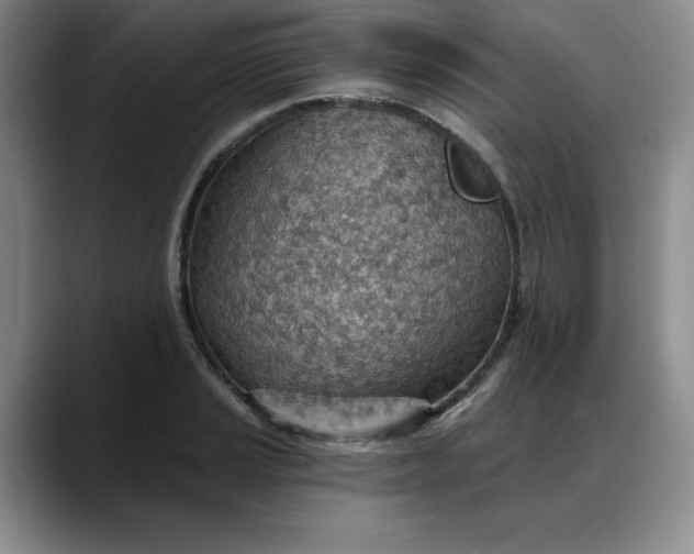 X0000088161037200705291907