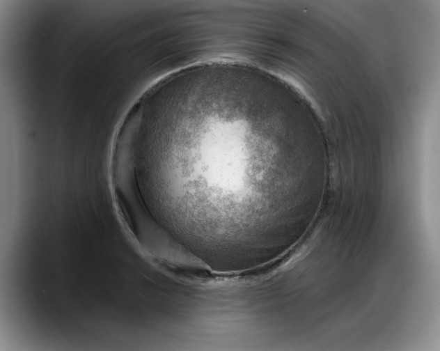 X0000088161038200705291907
