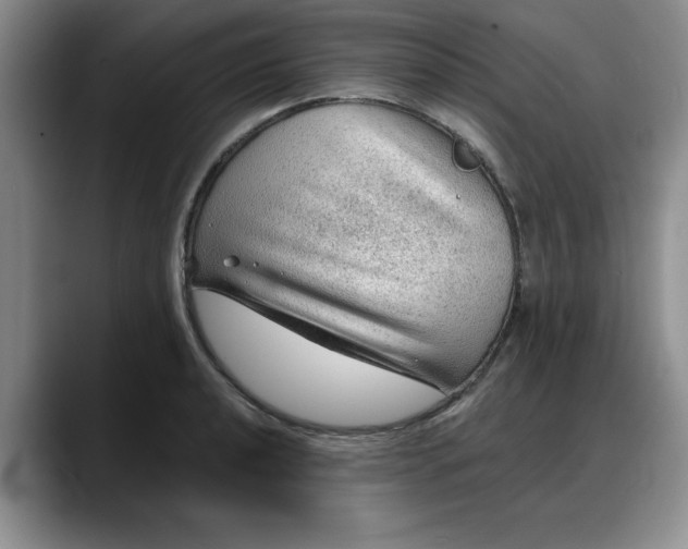 X0000088161040200705291907