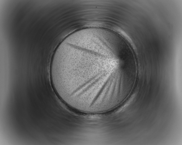 X0000088161041200705291907