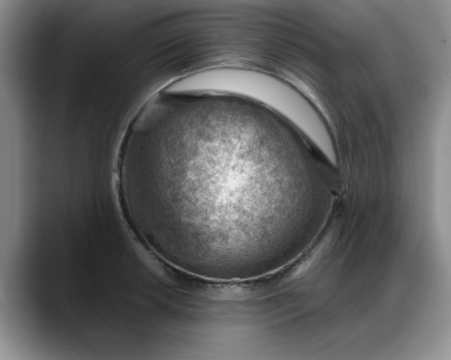 X0000088161042200705291907