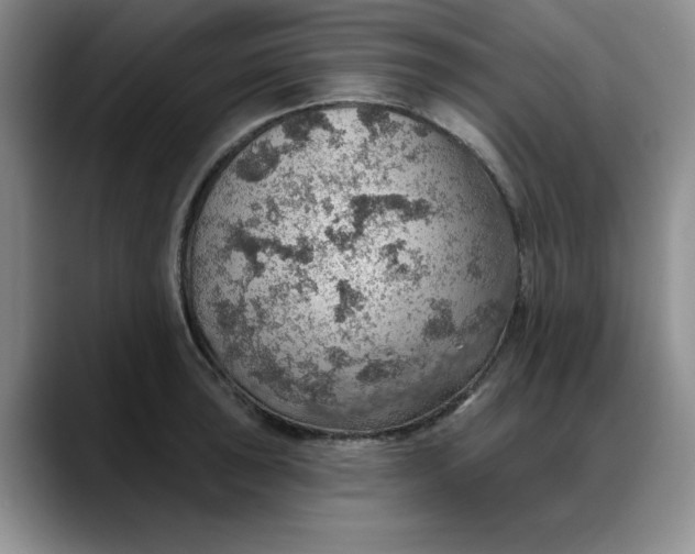X0000088161043200705291907