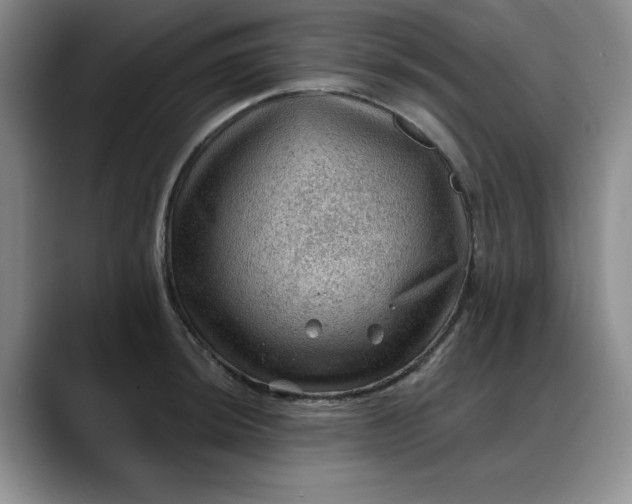 X0000088161044200705291907