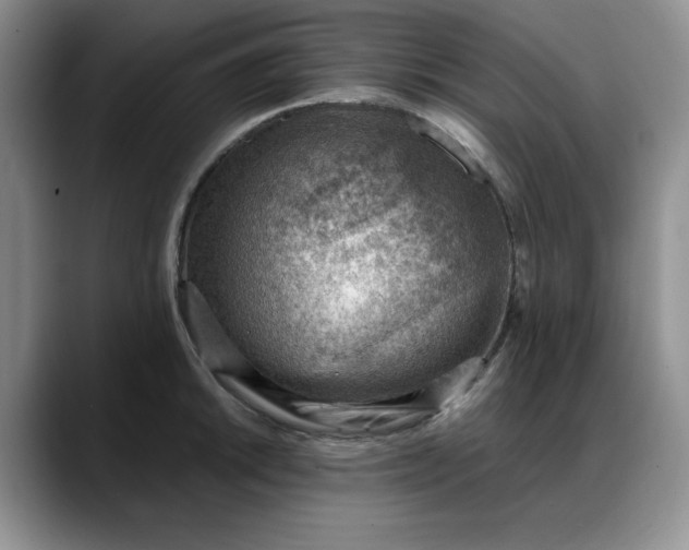 X0000088161046200705291907