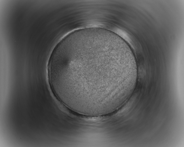X0000088161047200705291907