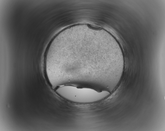 X0000088161048200705291907