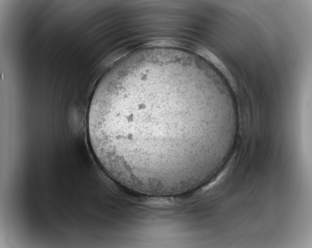 X0000088161049200705291907