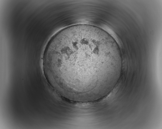 X0000088161051200705291907