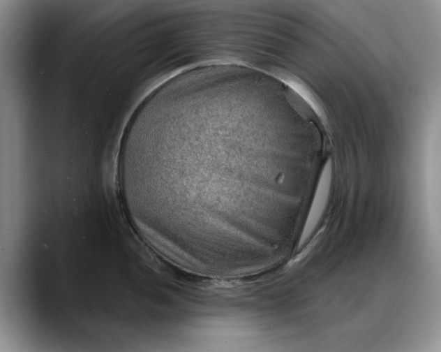 X0000088161052200705291907