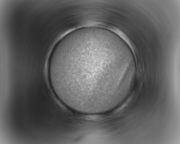 X0000088161053200705291907