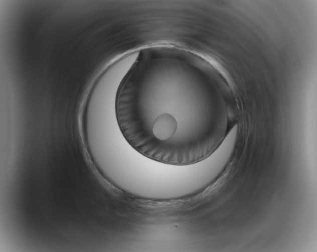 X0000088161054200705291907