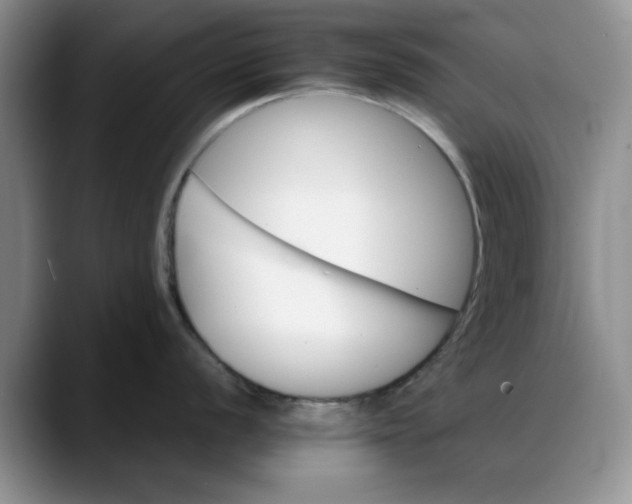 X0000088161056200705291907