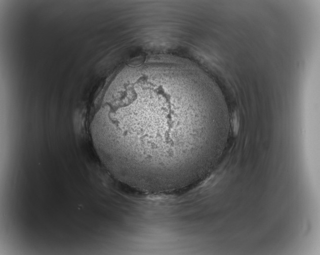 X0000088161059200705291907