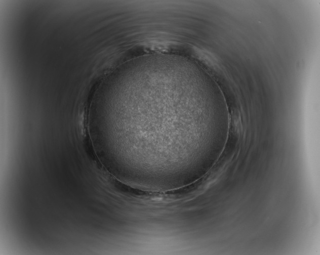 X0000088161060200705291907