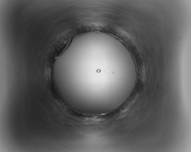 X0000088161061200705291907