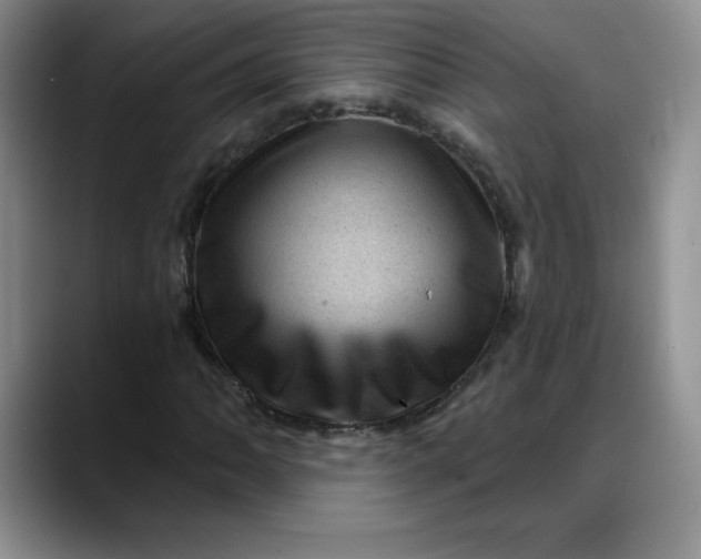 X0000088161062200705291907