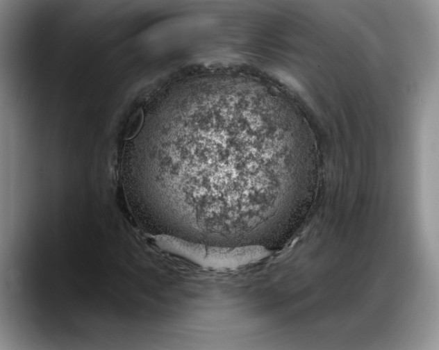 X0000088161063200705291907