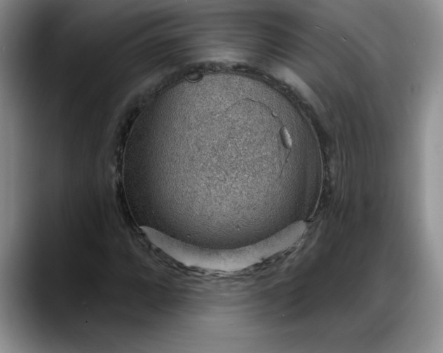 X0000088161064200705291907