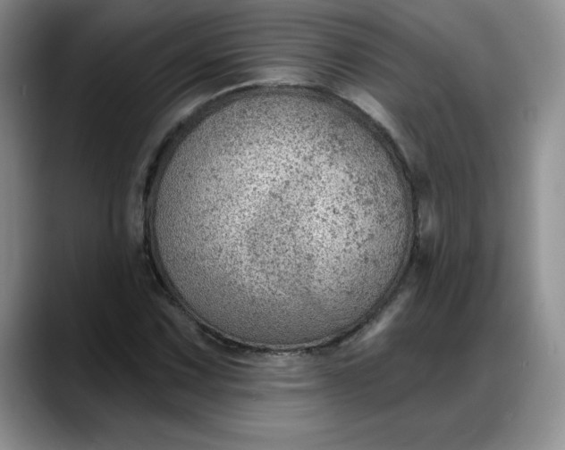 X0000088161067200705291907