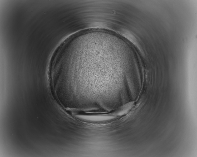 X0000088161068200705291907