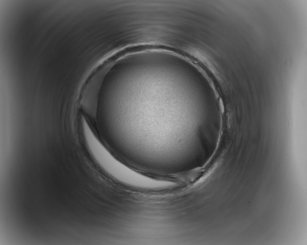 X0000088161069200705291907