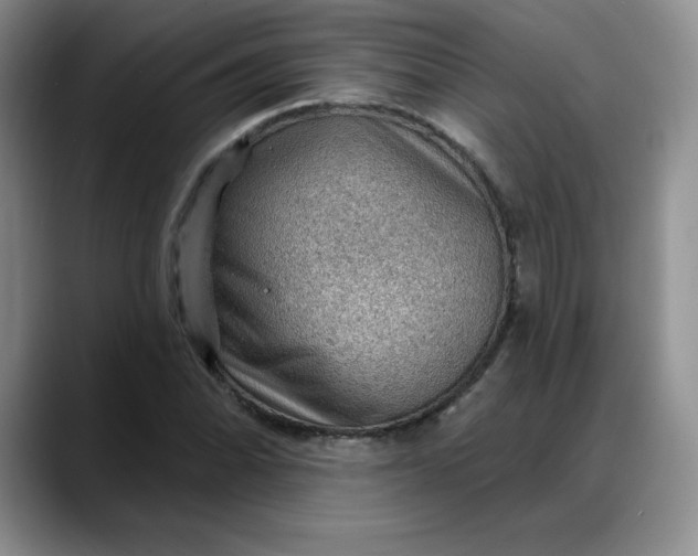 X0000088161070200705291907