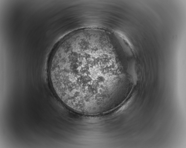X0000088161071200705291907