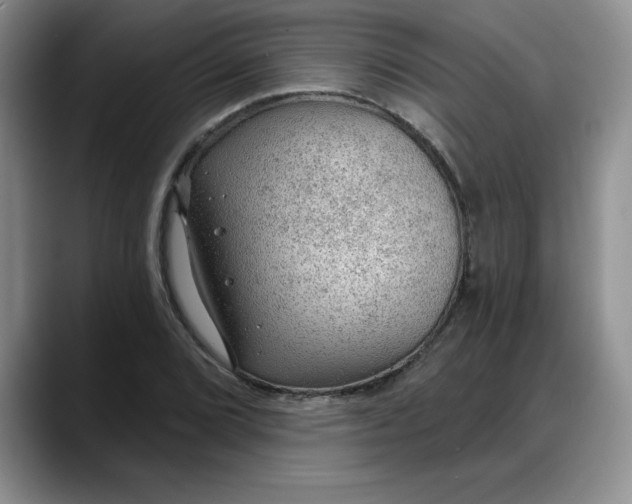 X0000088161072200705291907
