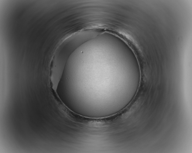 X0000088161073200705291907