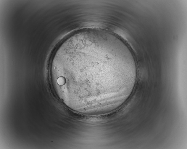 X0000088161074200705291906