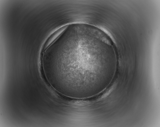 X0000088161077200705291906