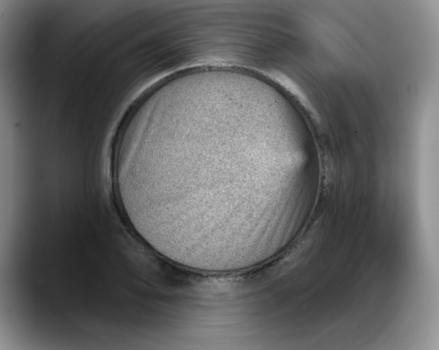 X0000088161078200705291906