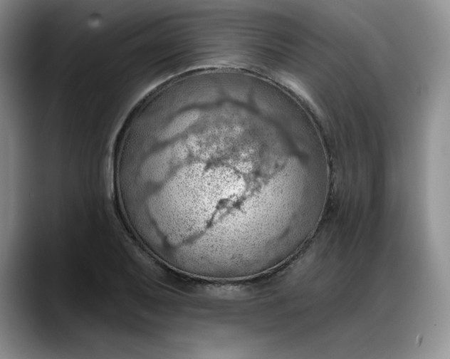 X0000088161079200705291906