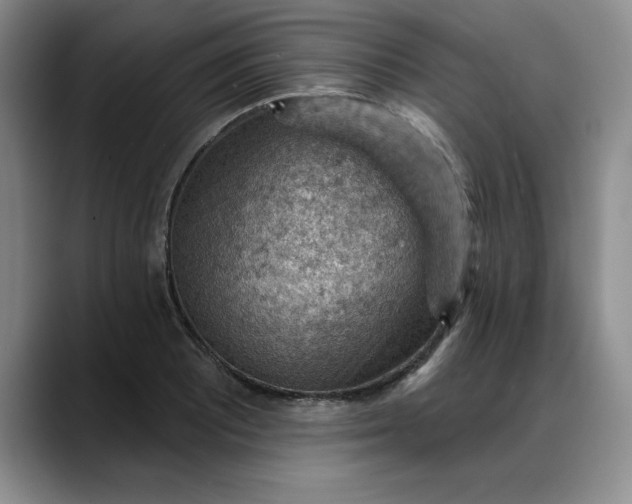 X0000088161081200705291906