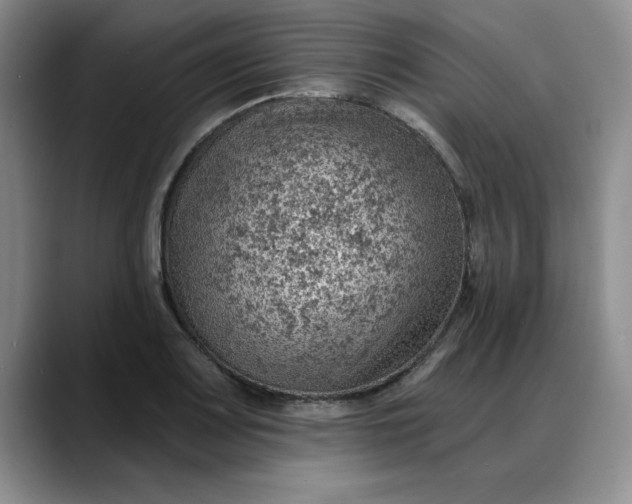 X0000088161083200705291906