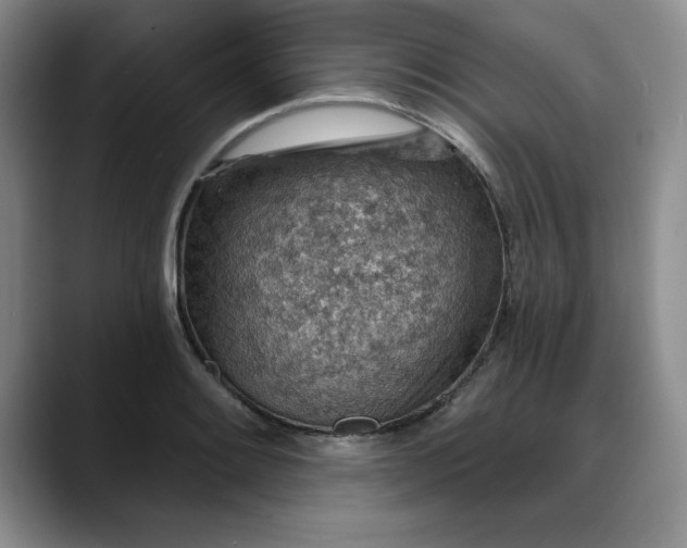 X0000088161084200705291906