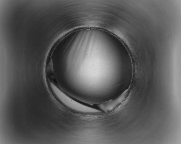 X0000088161085200705291906