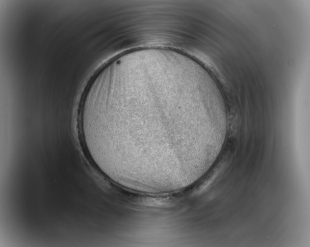 X0000088161086200705291906