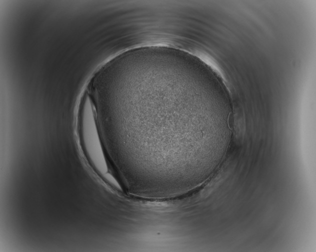 X0000088161088200705291906
