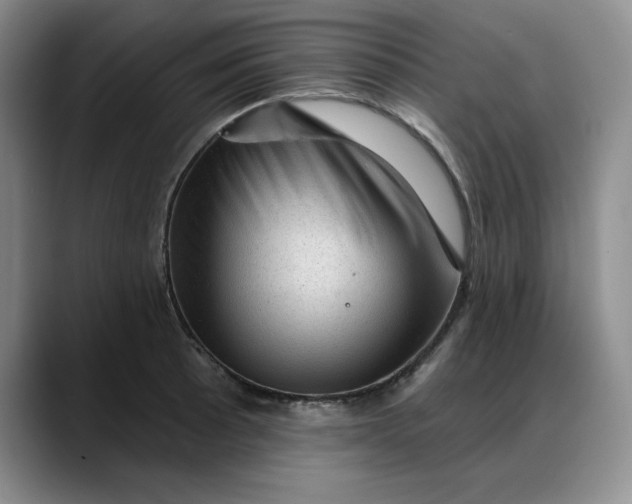X0000088161089200705291906
