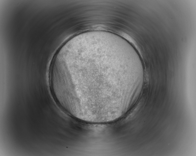 X0000088161090200705291906