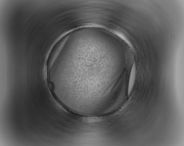 X0000088161092200705291906