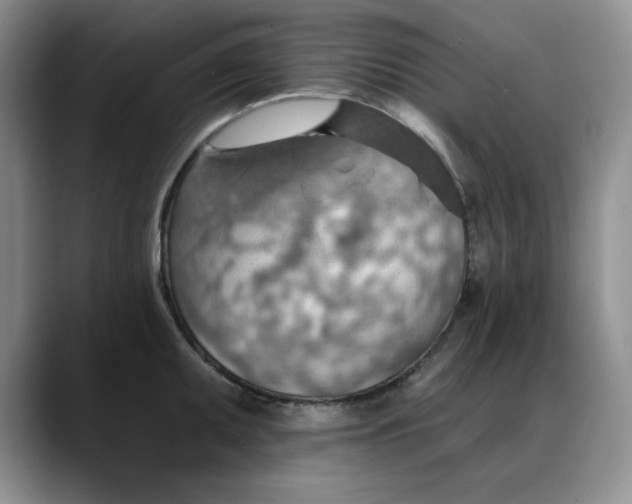X0000088161095200705291906