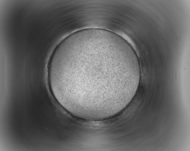 X0000088161096200705291906