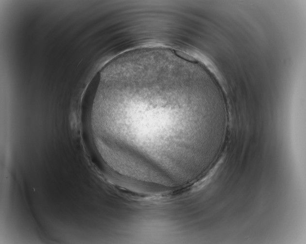 X0000088161097200705291906