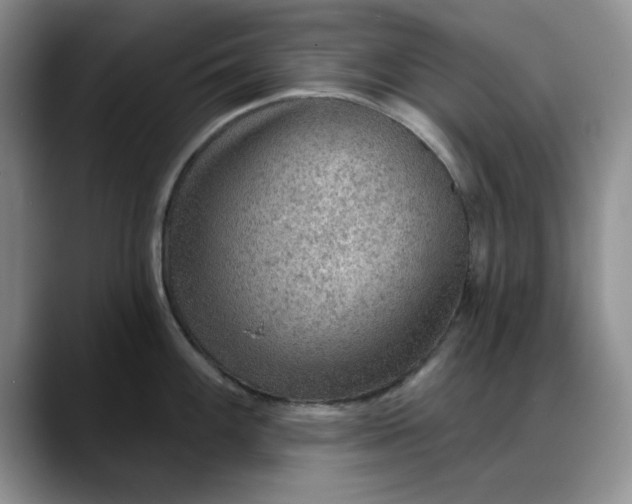 X0000088161100200705291906